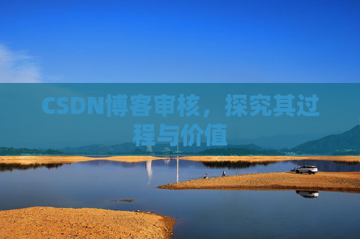 CSDN博客审核，探究其过程与价值